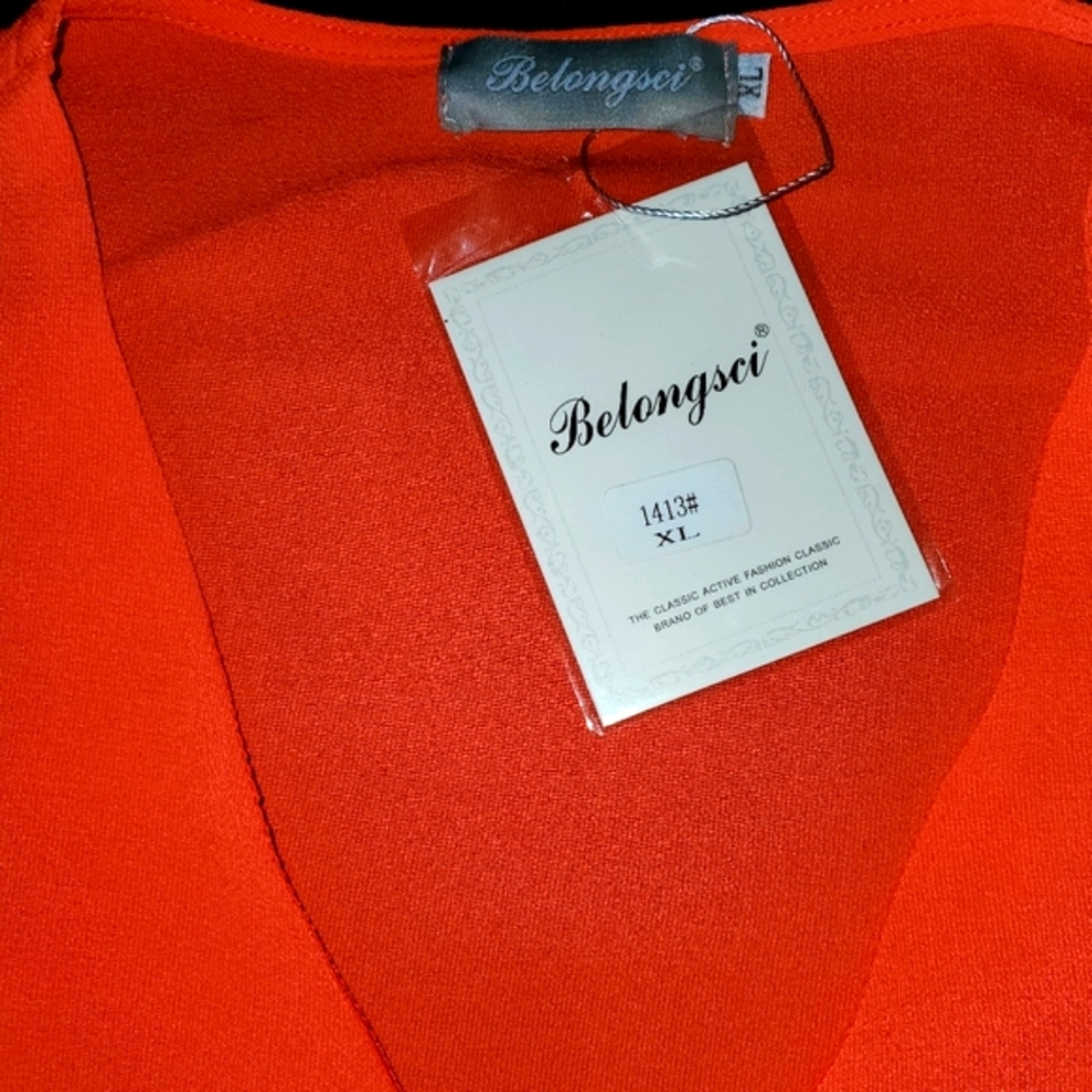 Fall is just around the corner. NWT, Orange blouse with balloon sleeves.